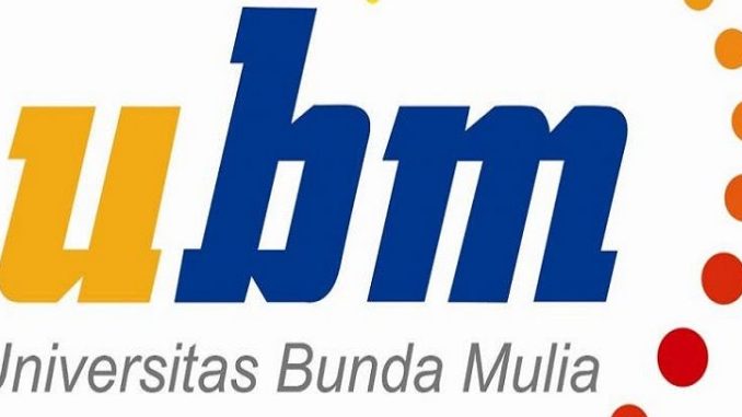 logo ubm